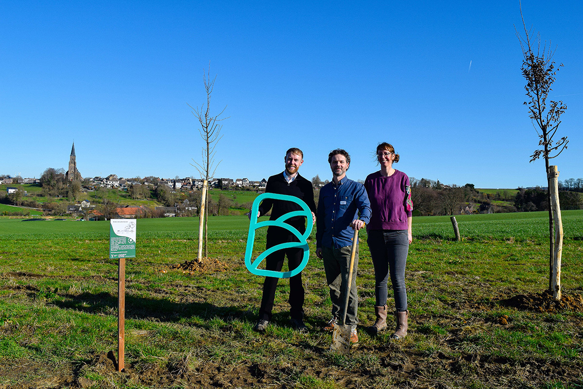 Versterking houtopstand Grachterweg